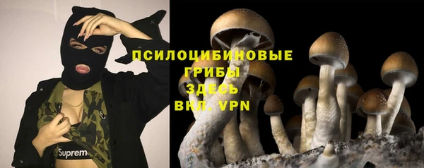 таблы Дмитров