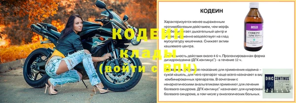 соль ск Дмитриев