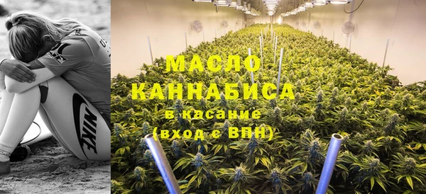 соль ск Дмитриев