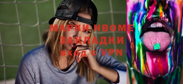 соль ск Дмитриев