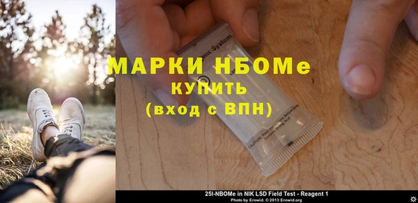 соль ск Дмитриев