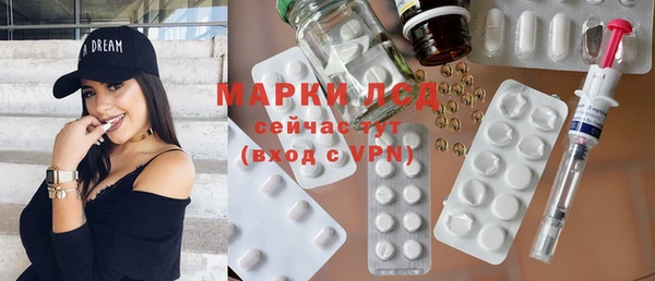 соль ск Дмитриев