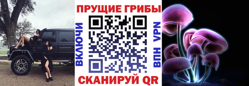 Псилоцибиновые грибы Psilocybine cubensis Кондопога