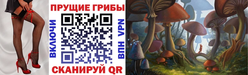 Купить где  Кондопога  Галлюциногенные грибы GOLDEN TEACHER 